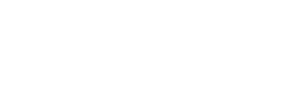 Plansee Group